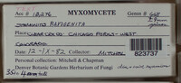 Image Associated With the Occurence